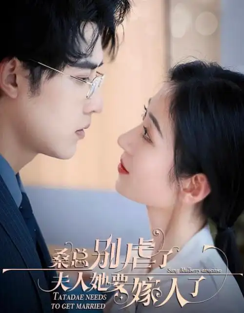 我们的小满都市情感剧全集免费观看